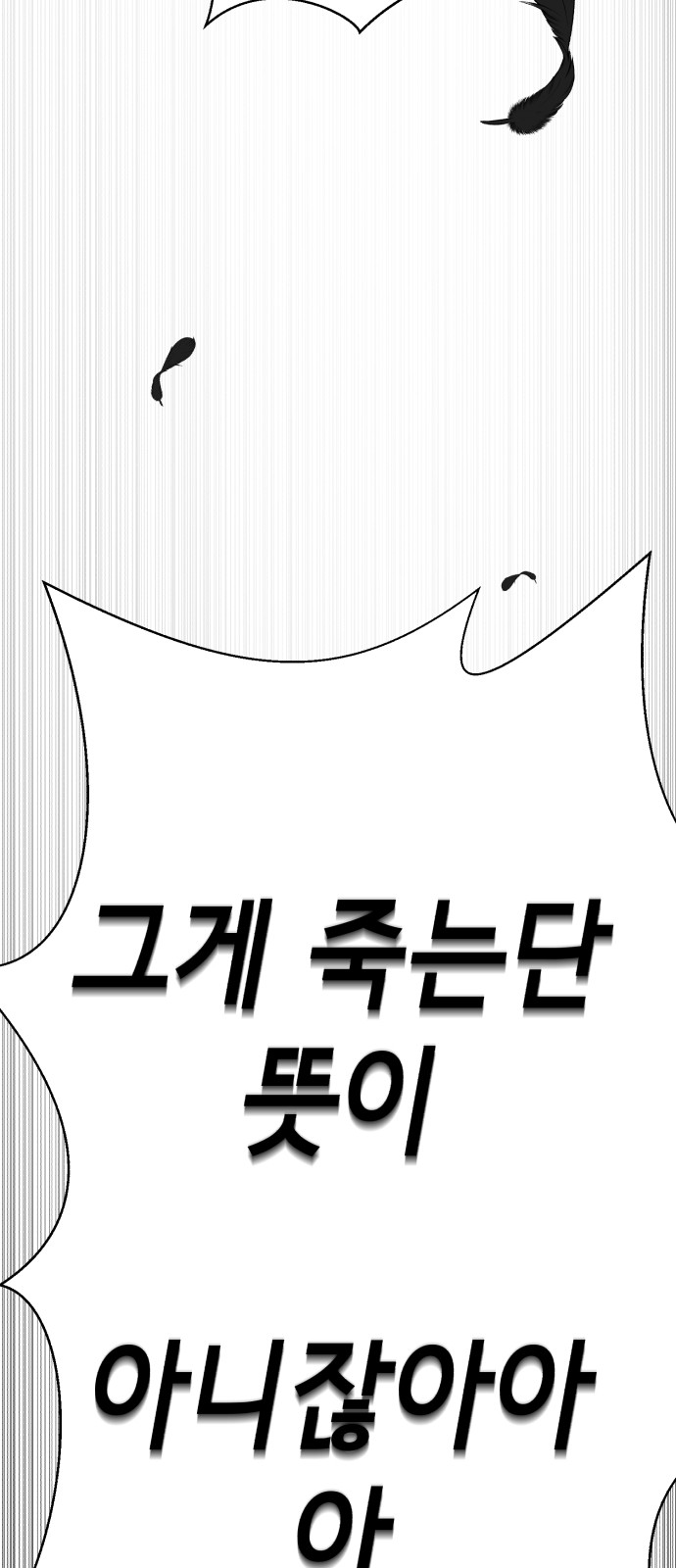 253 페이지