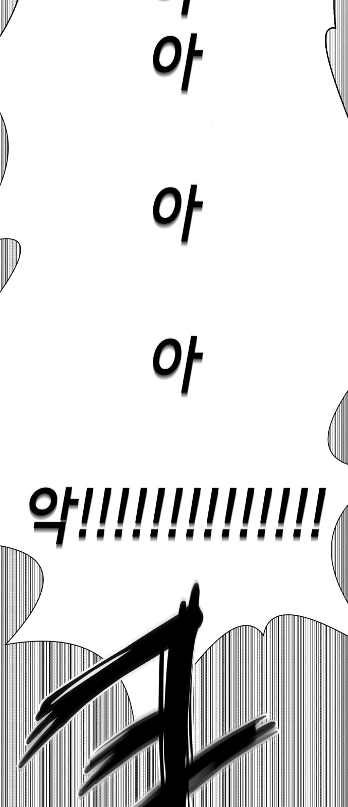 254 페이지