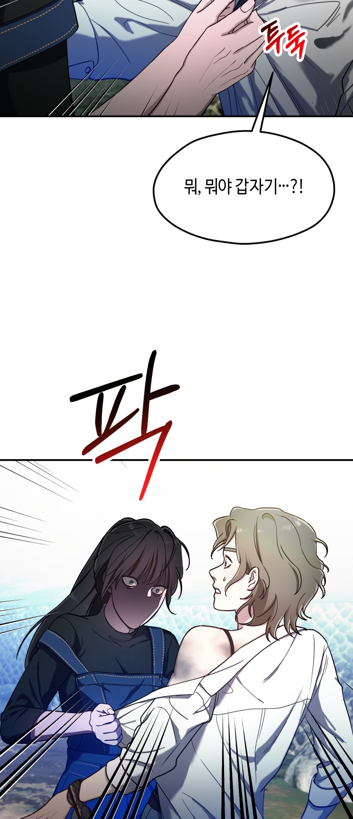66 페이지
