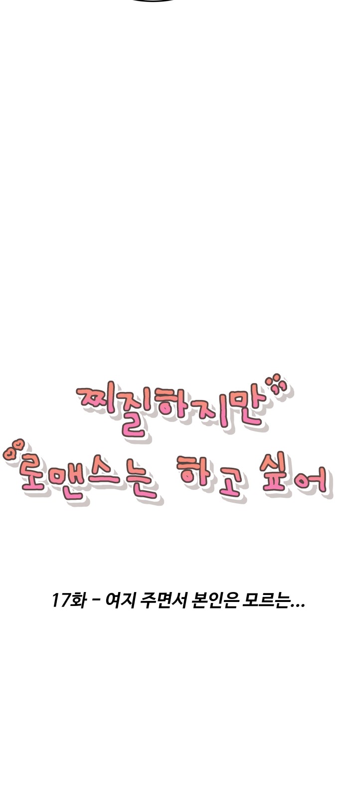17 페이지