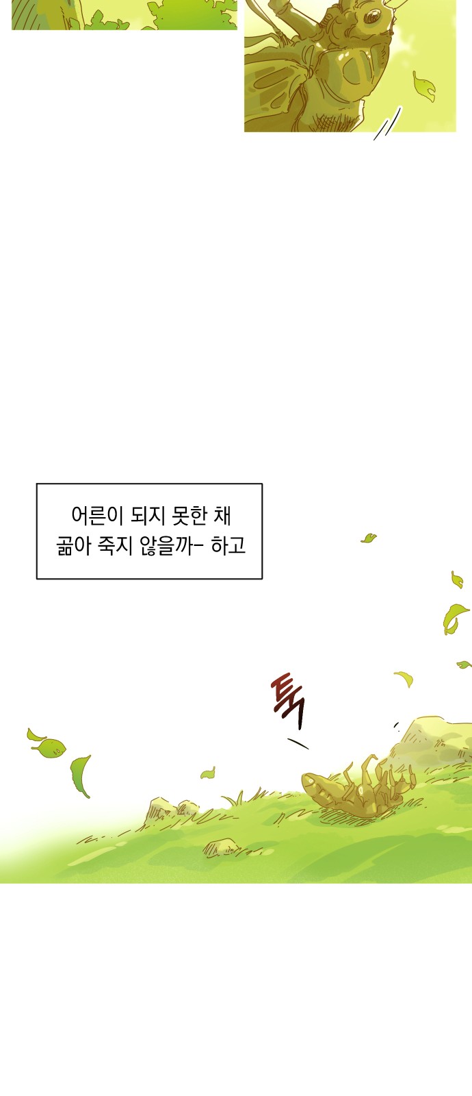 29 페이지