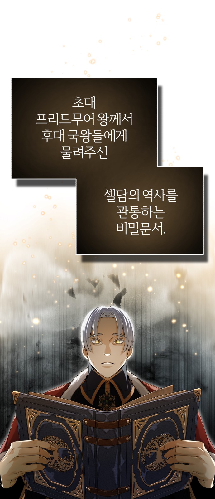 45 페이지