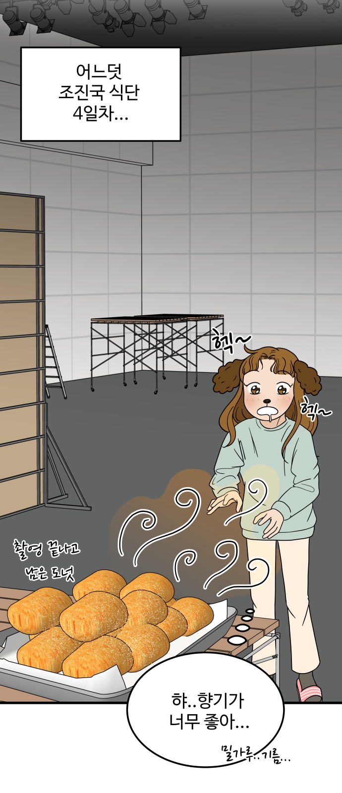 46 페이지
