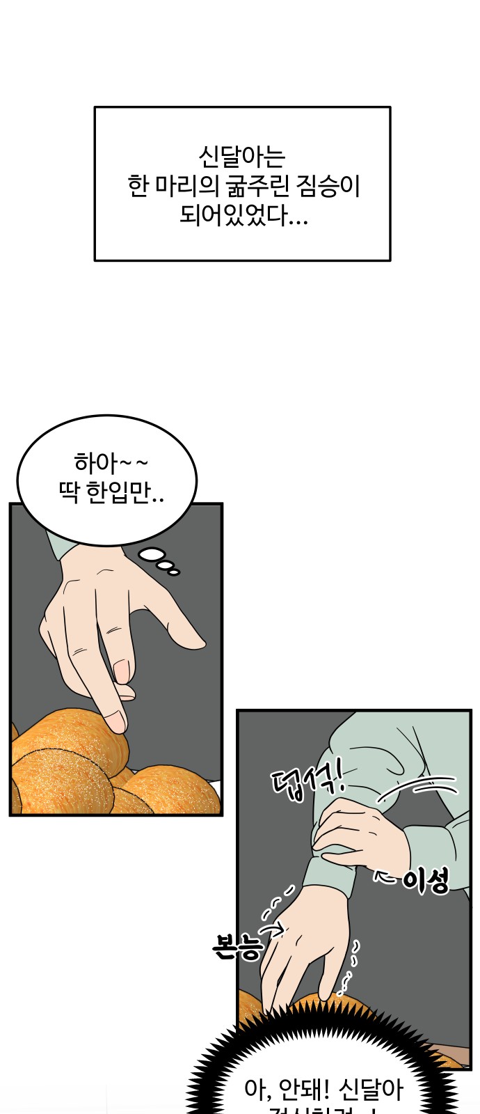 47 페이지