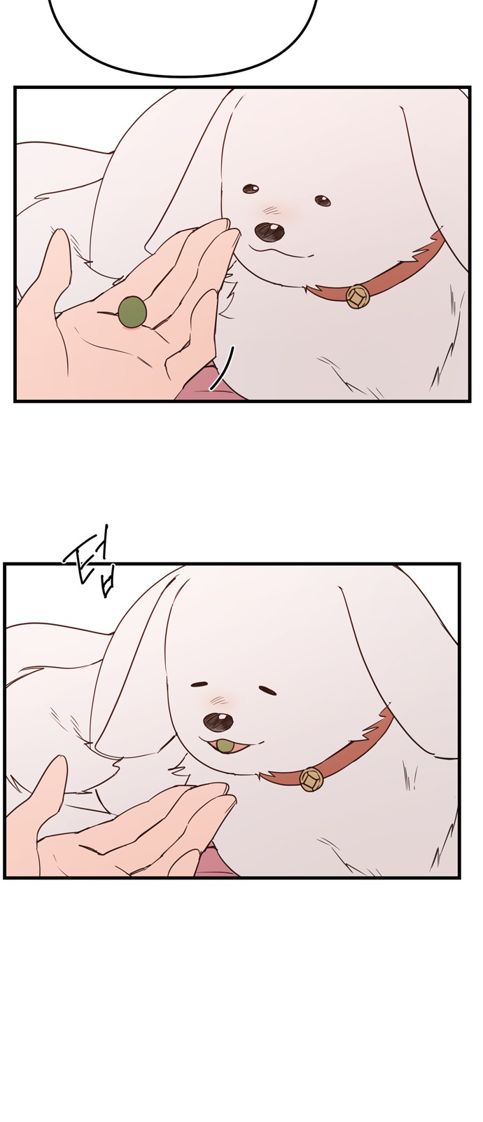 Single Wizard's Dormitory Apartment - Chapter 13 - Page 40