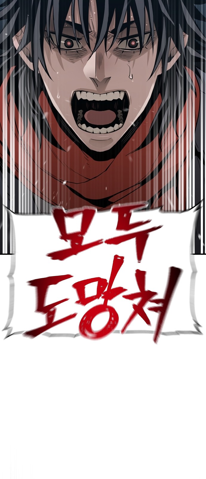 113 페이지