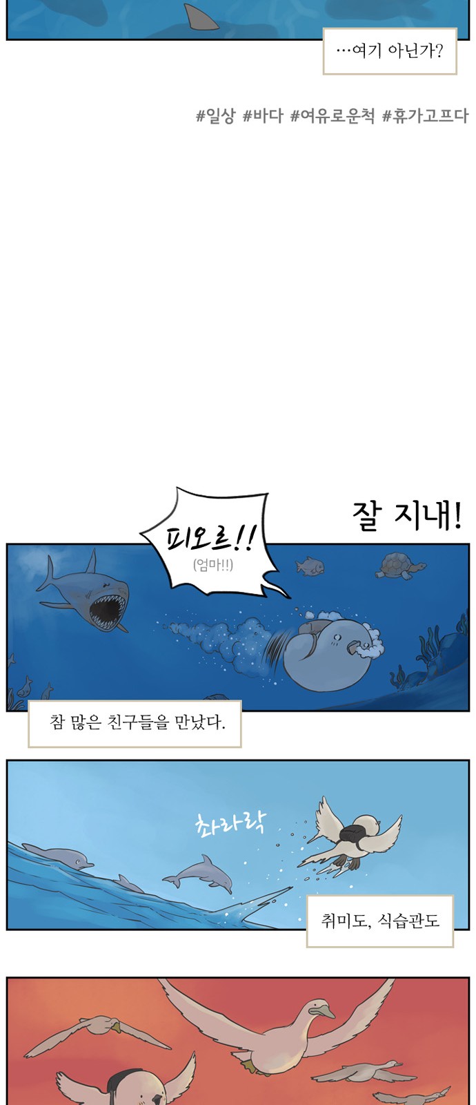 14 페이지