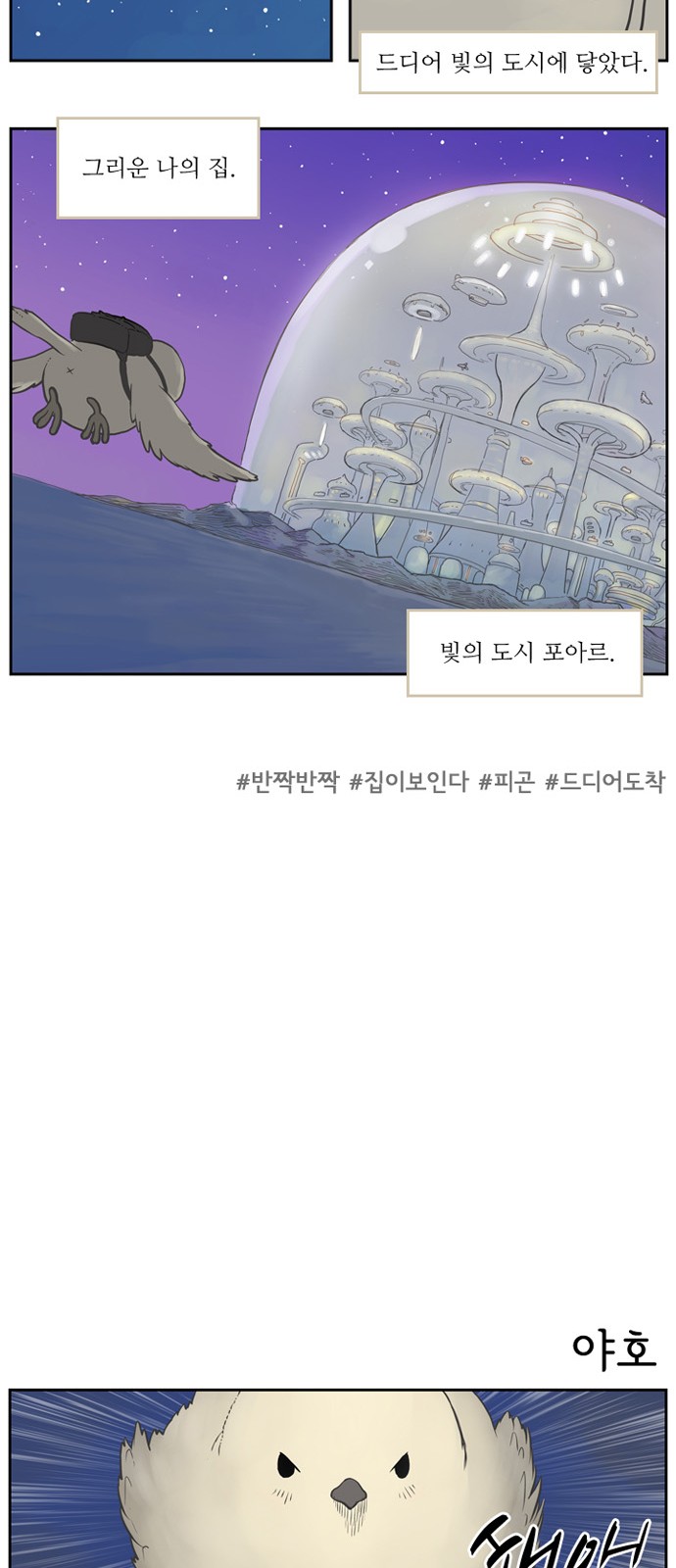 16 페이지