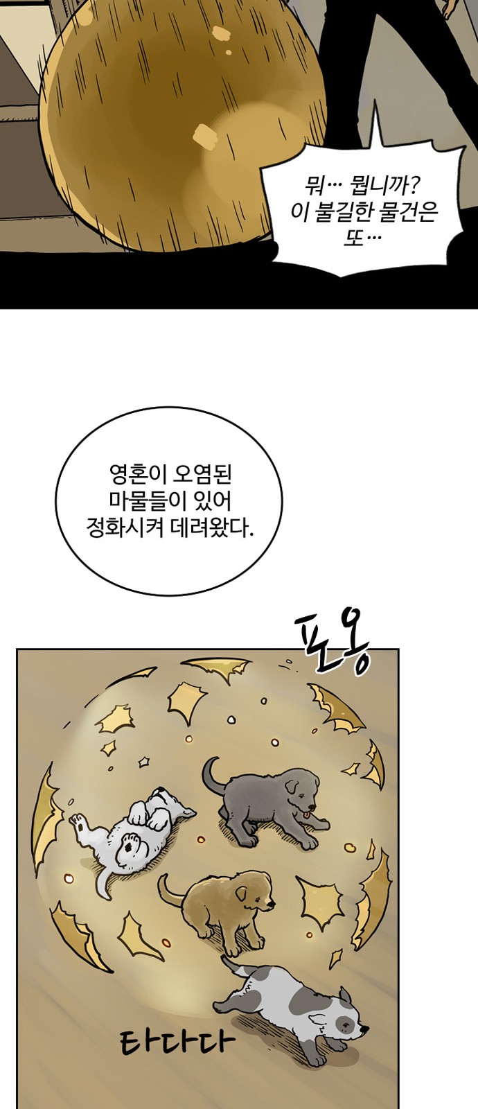 14 페이지