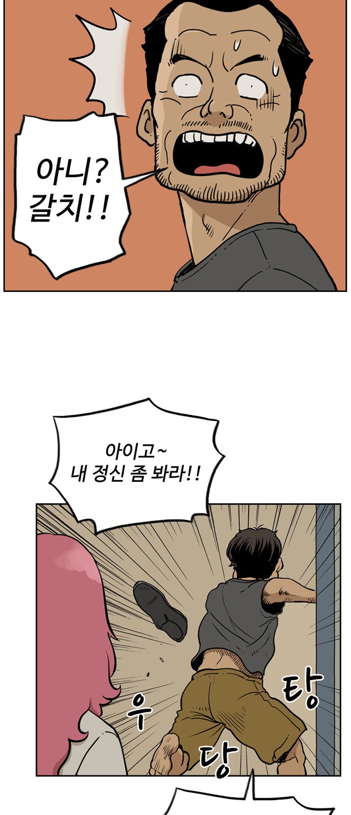 44 페이지