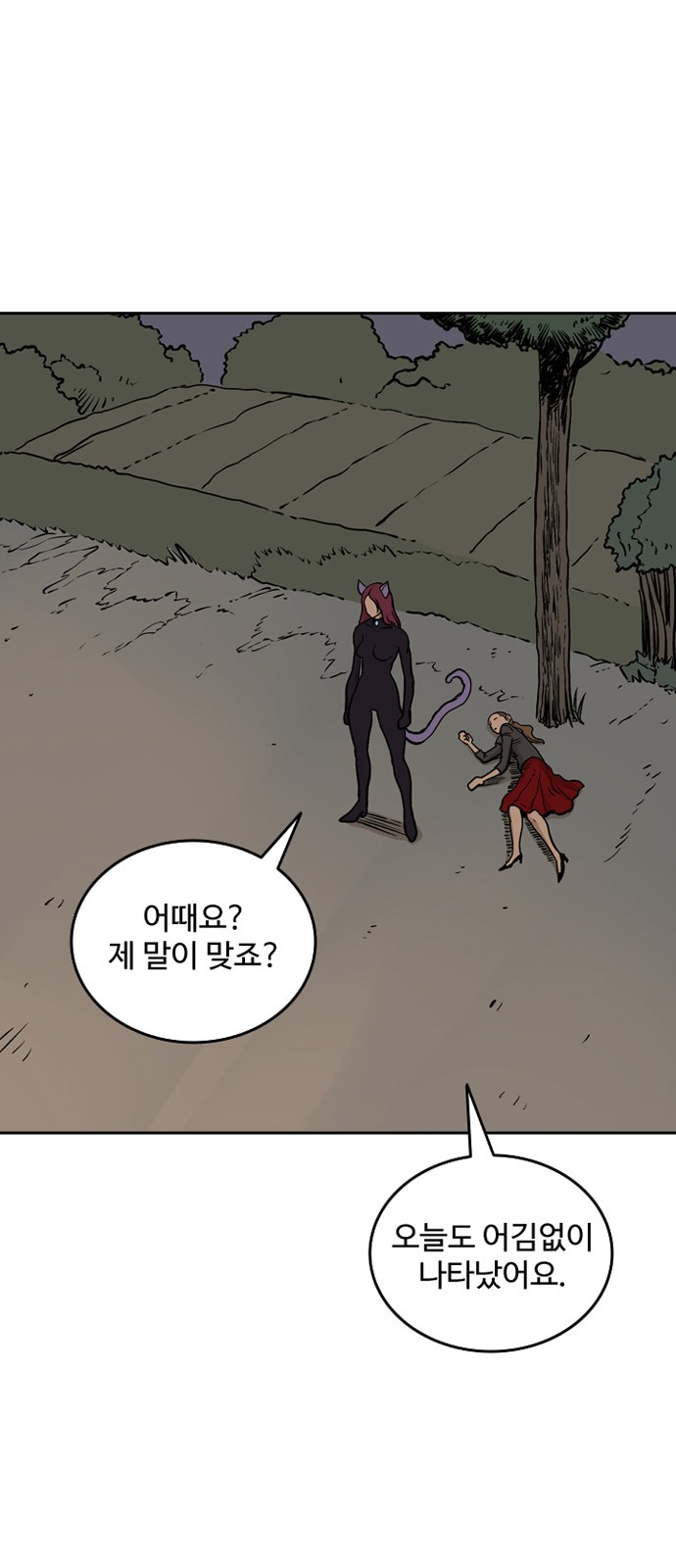 54 페이지