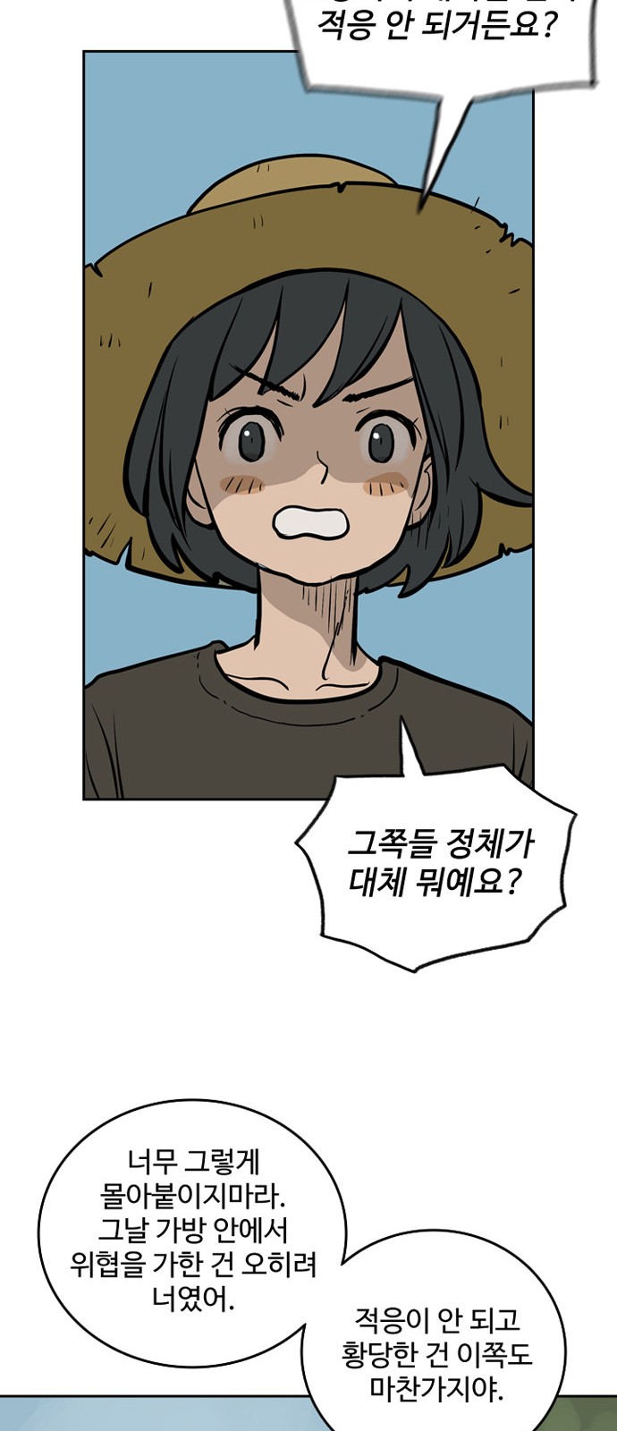 43 페이지