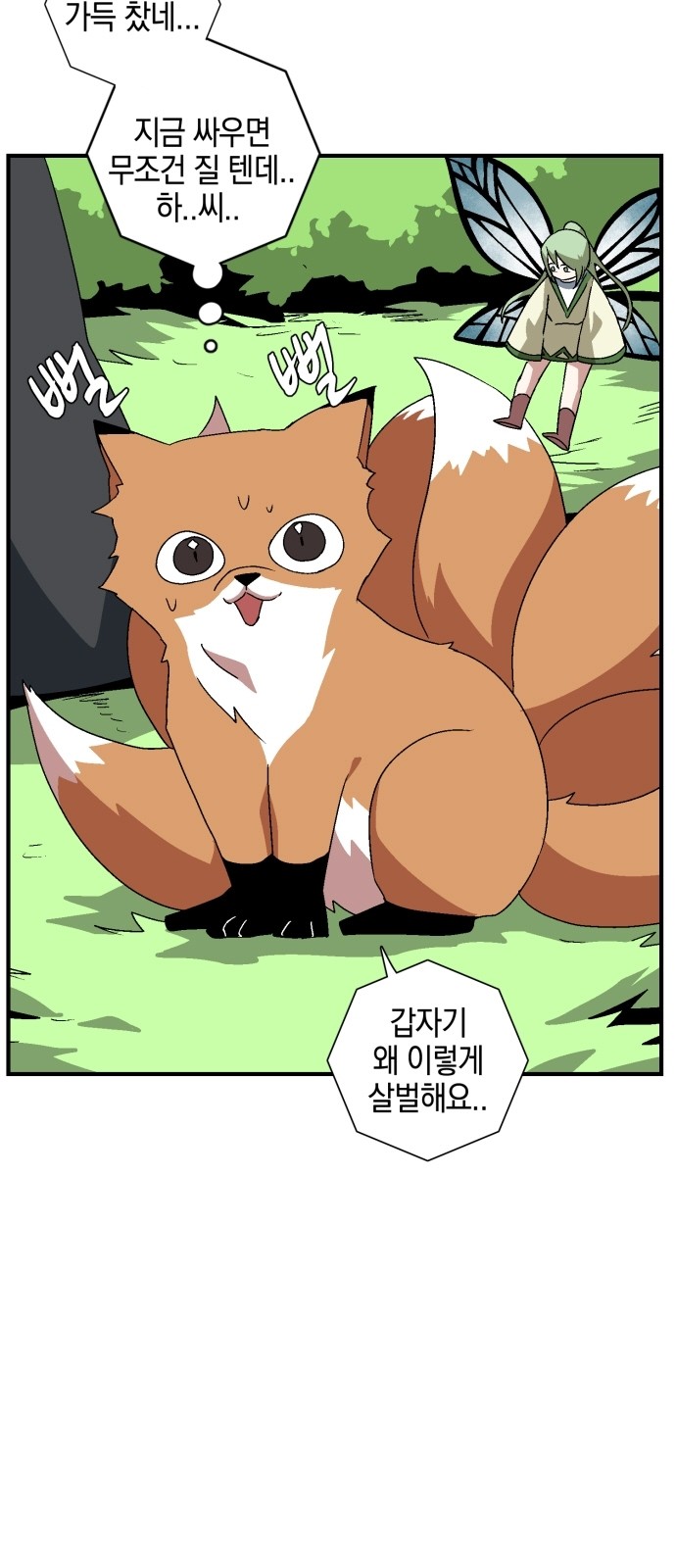 11 페이지