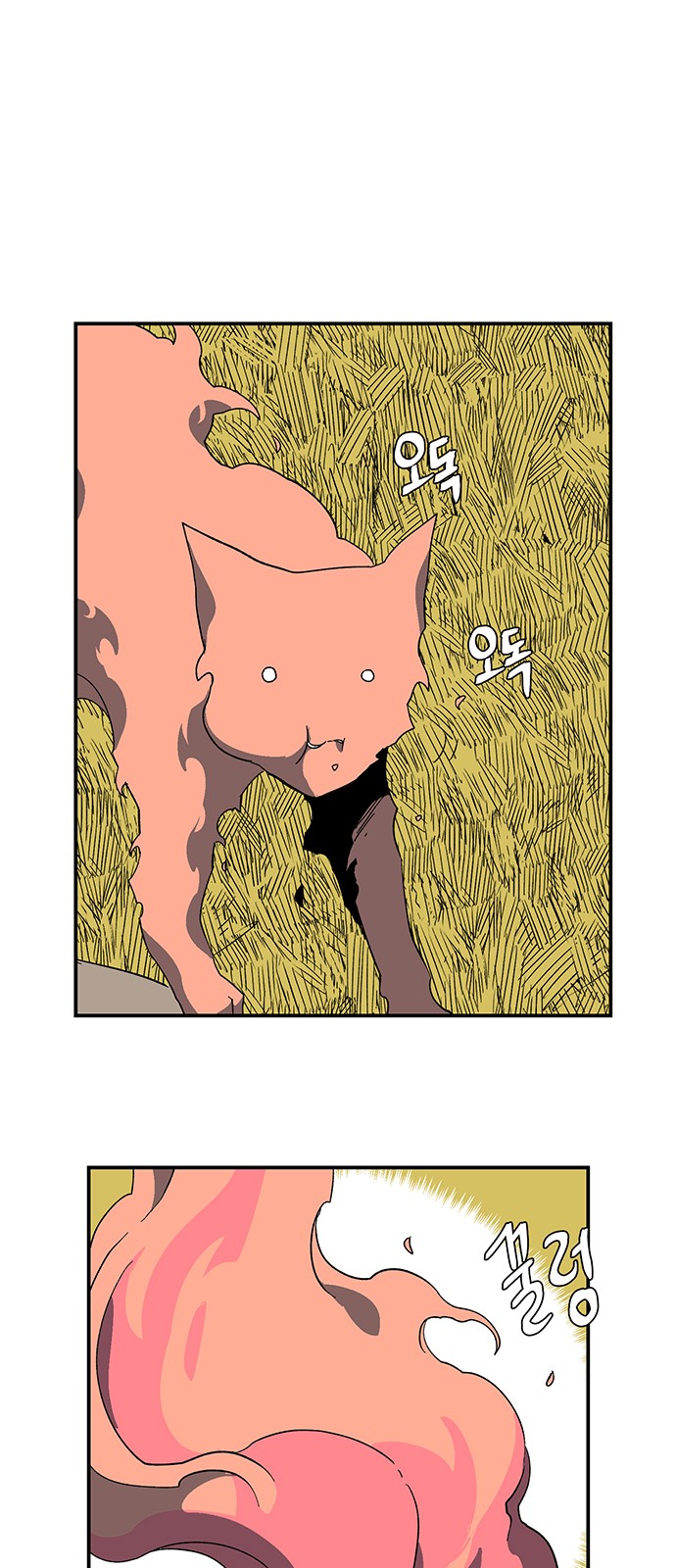 43 페이지
