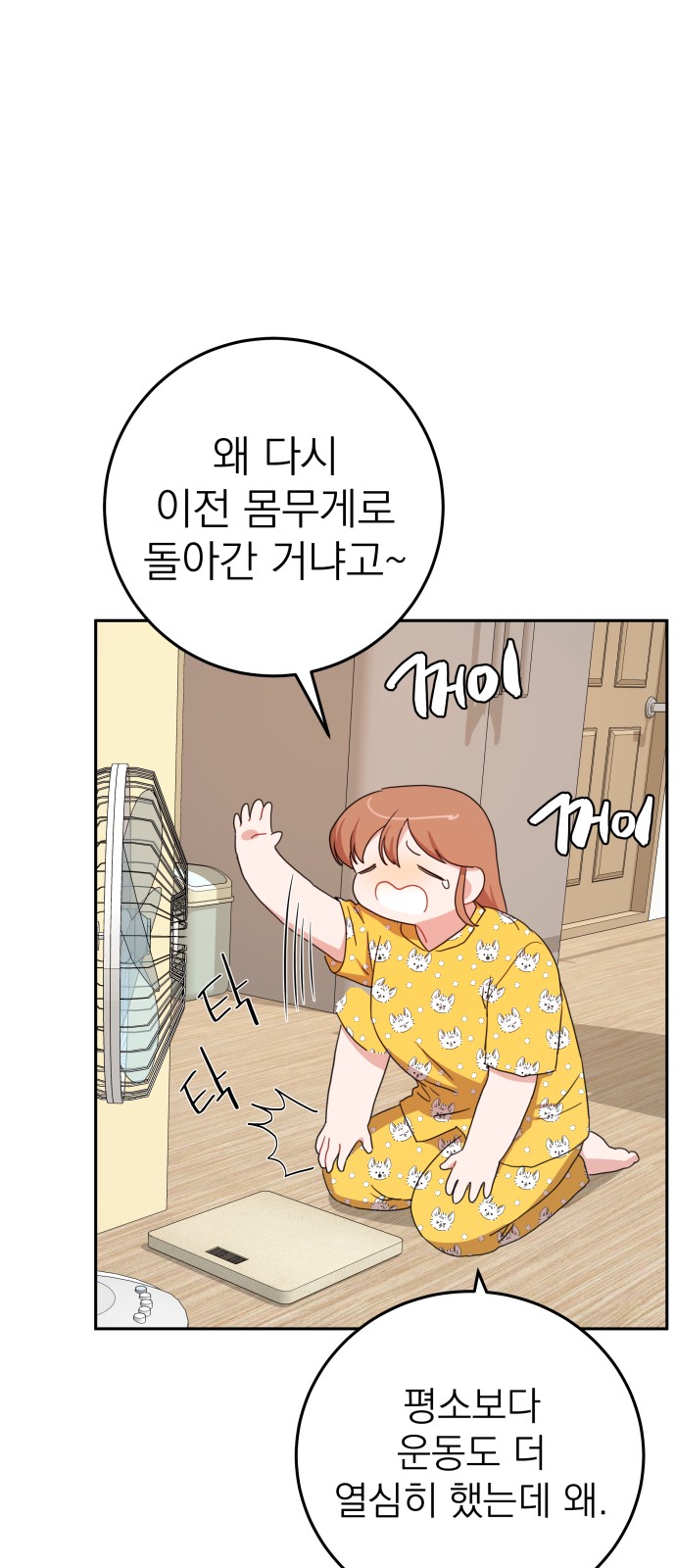 13 페이지