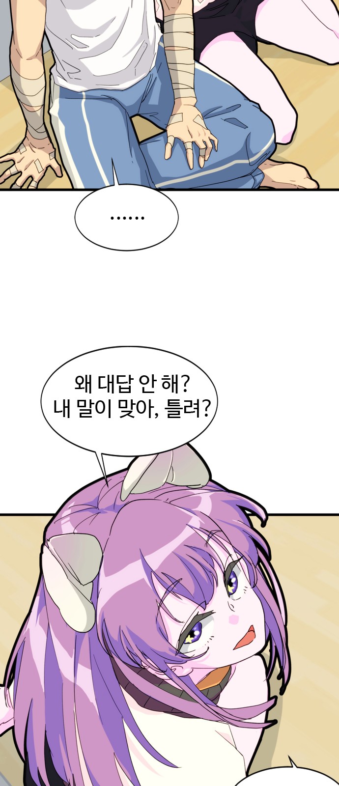 52 페이지