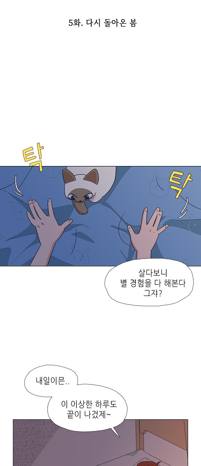 6 페이지