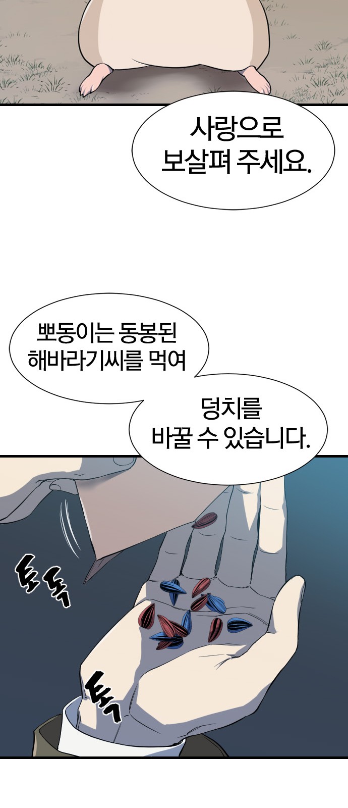 20 페이지