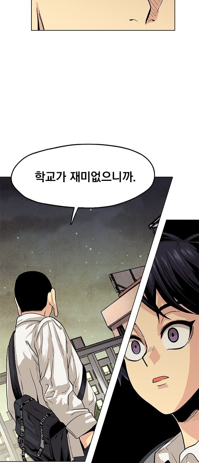 66 페이지