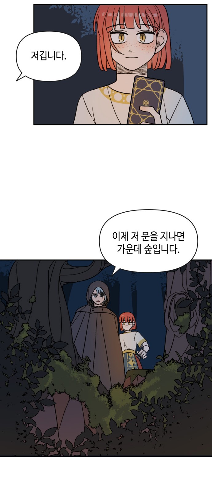43 페이지