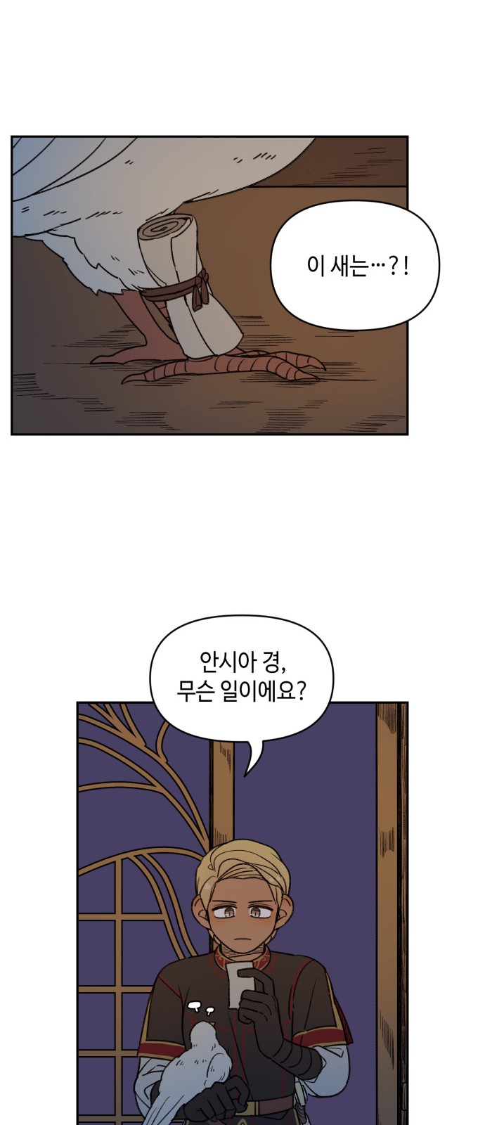31 페이지