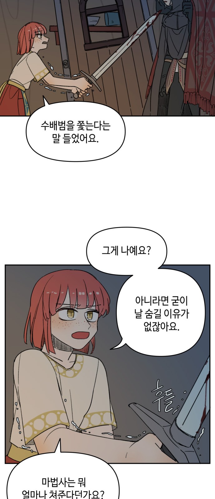 30 페이지