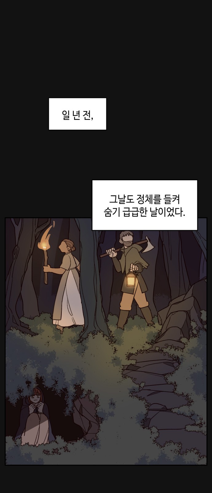 41 페이지