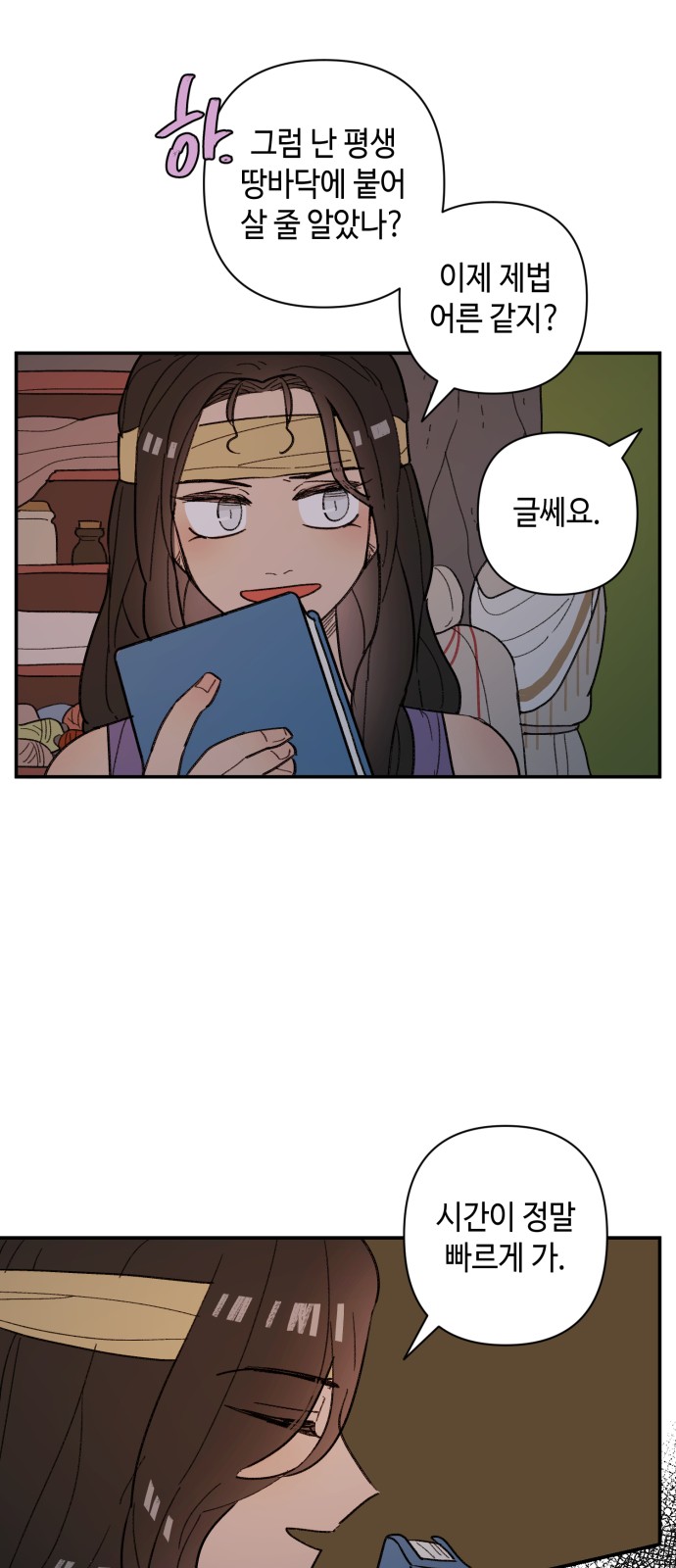 41 페이지