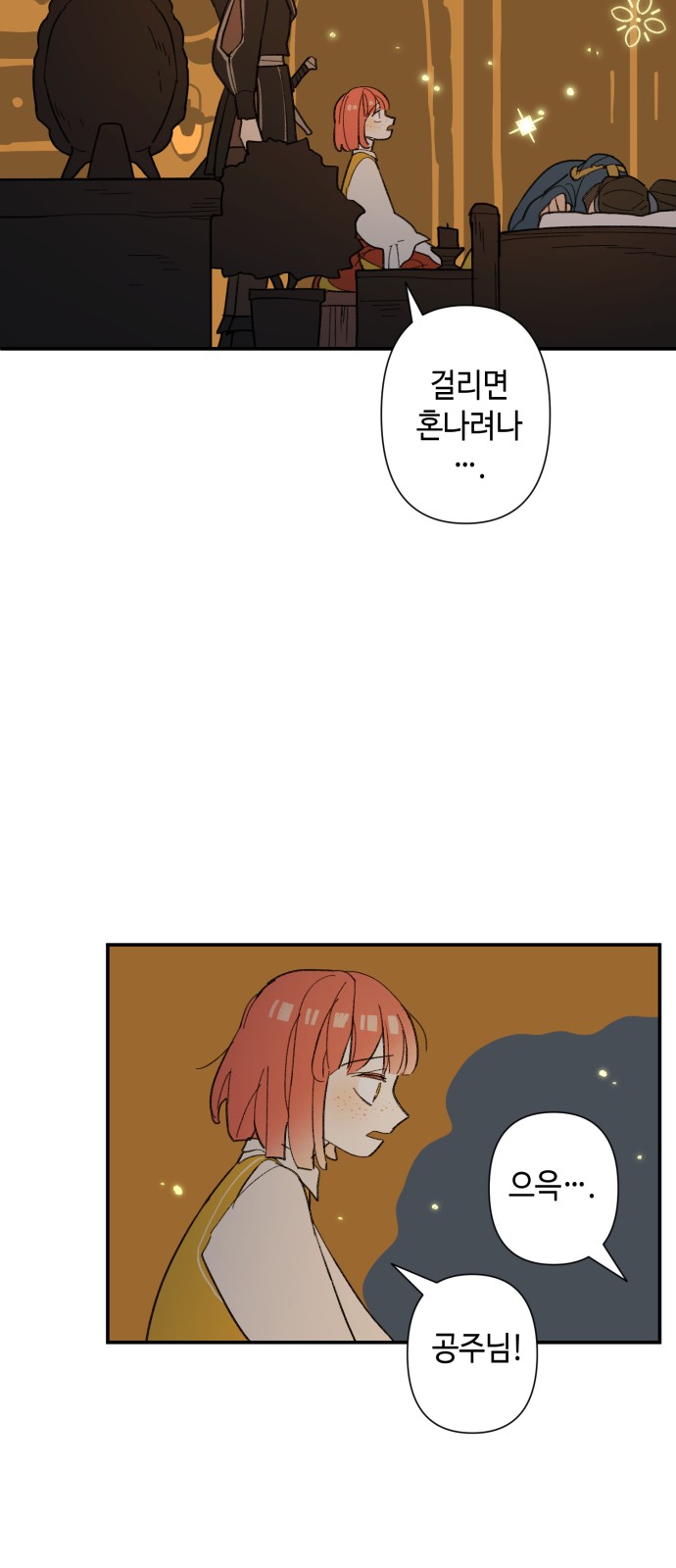 29 페이지