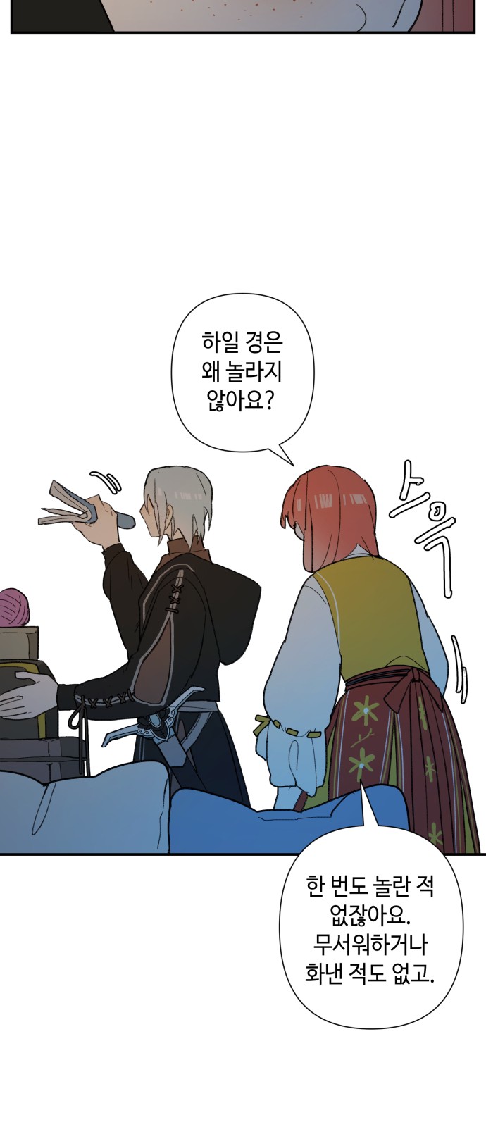 51 페이지