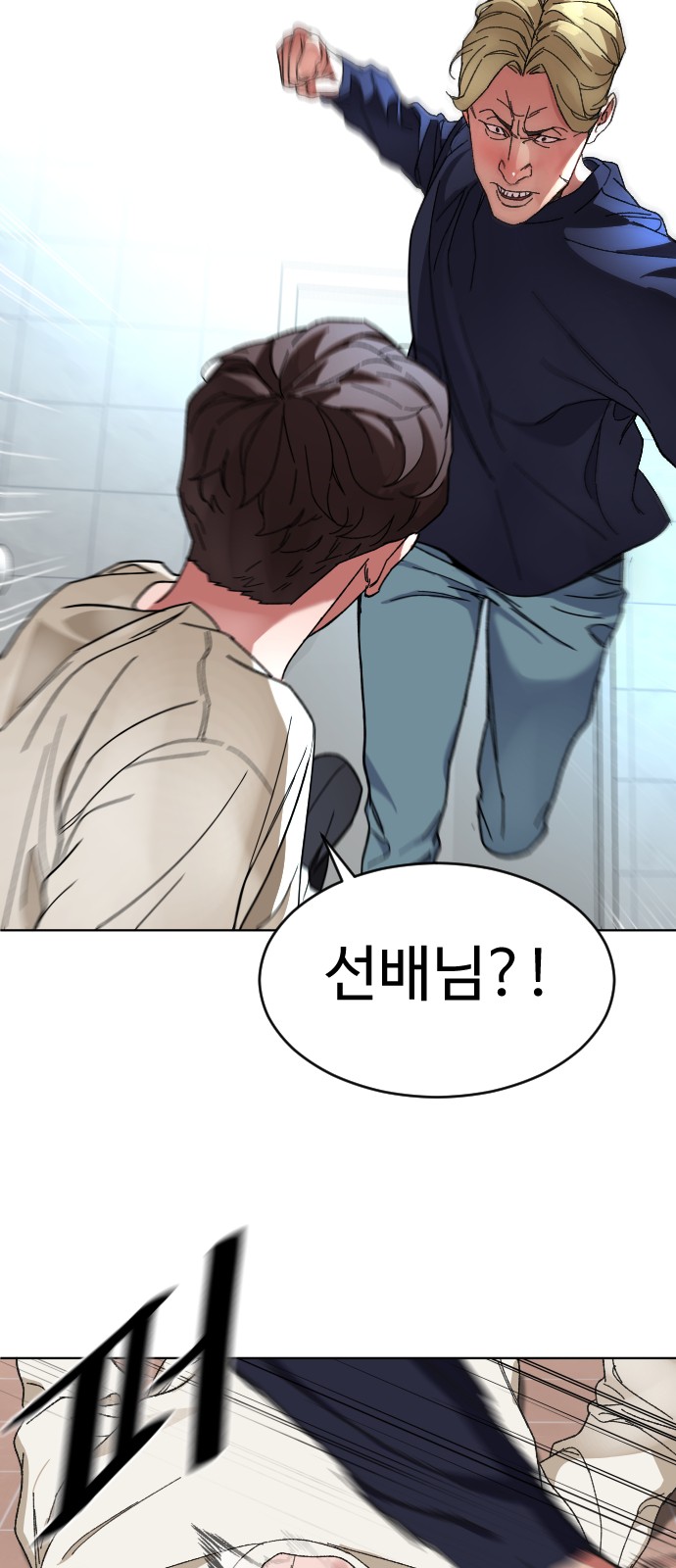 46 페이지