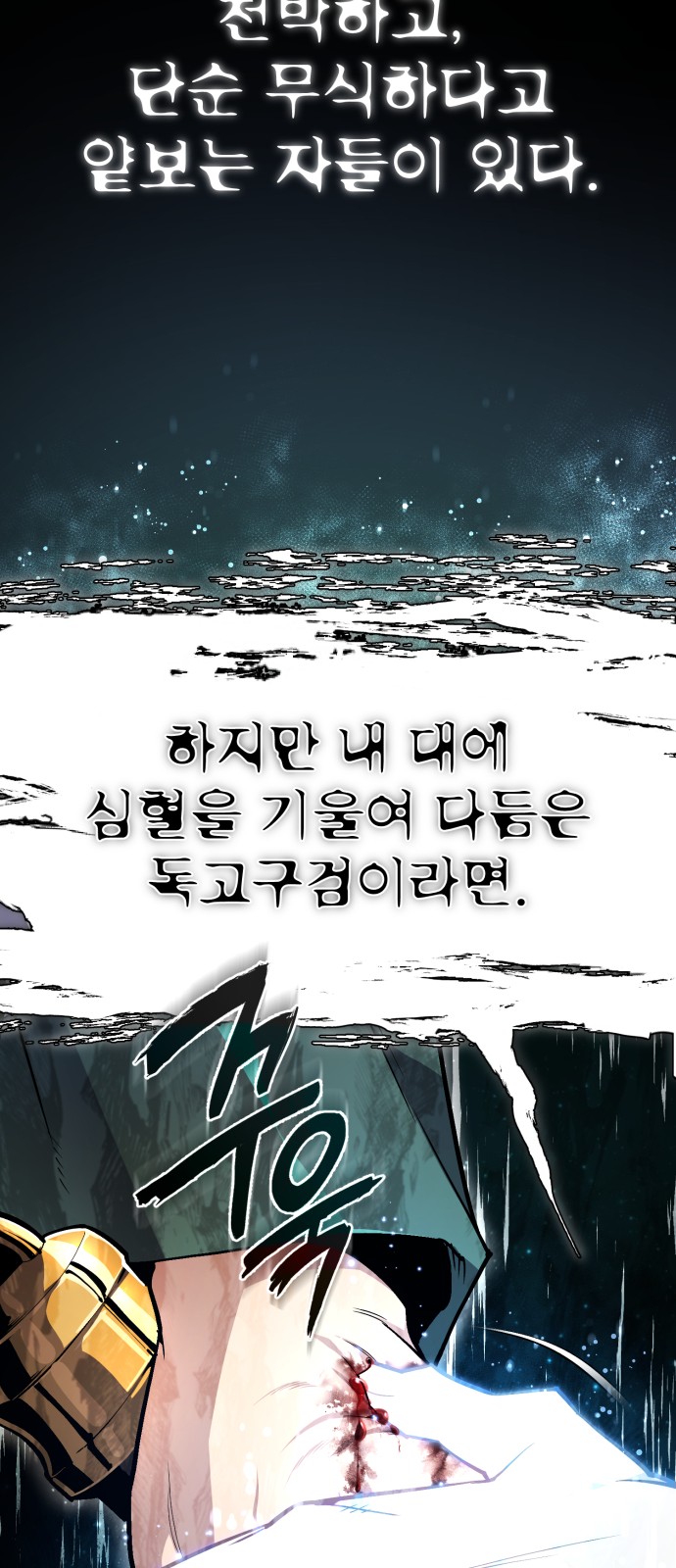 66 페이지