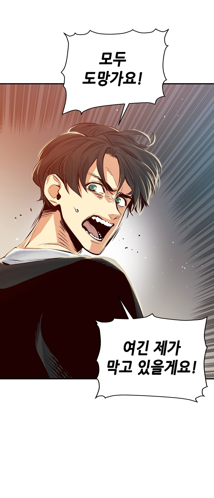 50 페이지