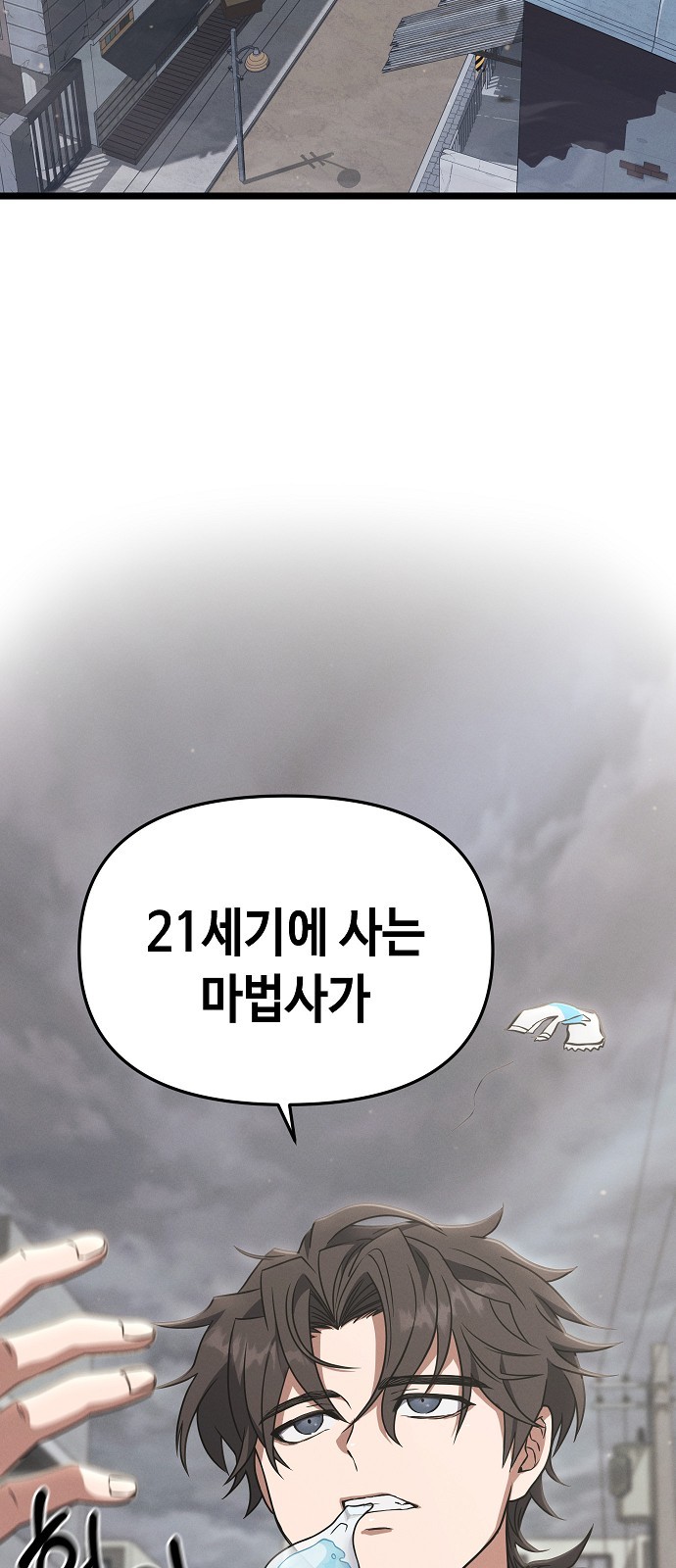 86 페이지