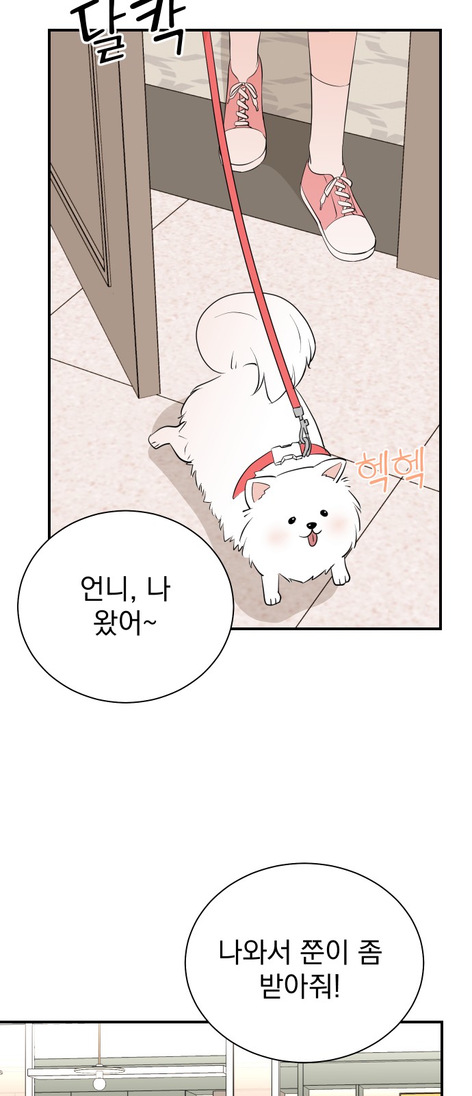 21 페이지