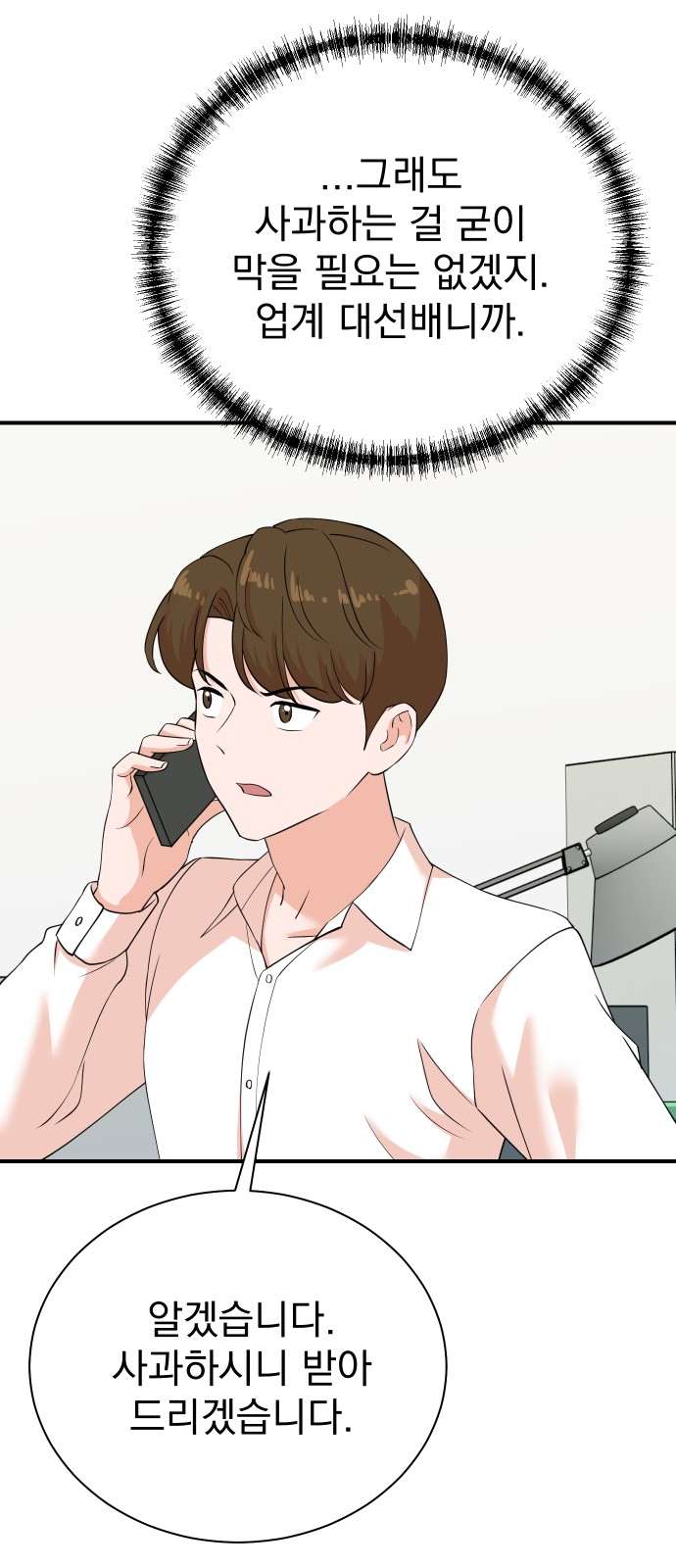 33 페이지
