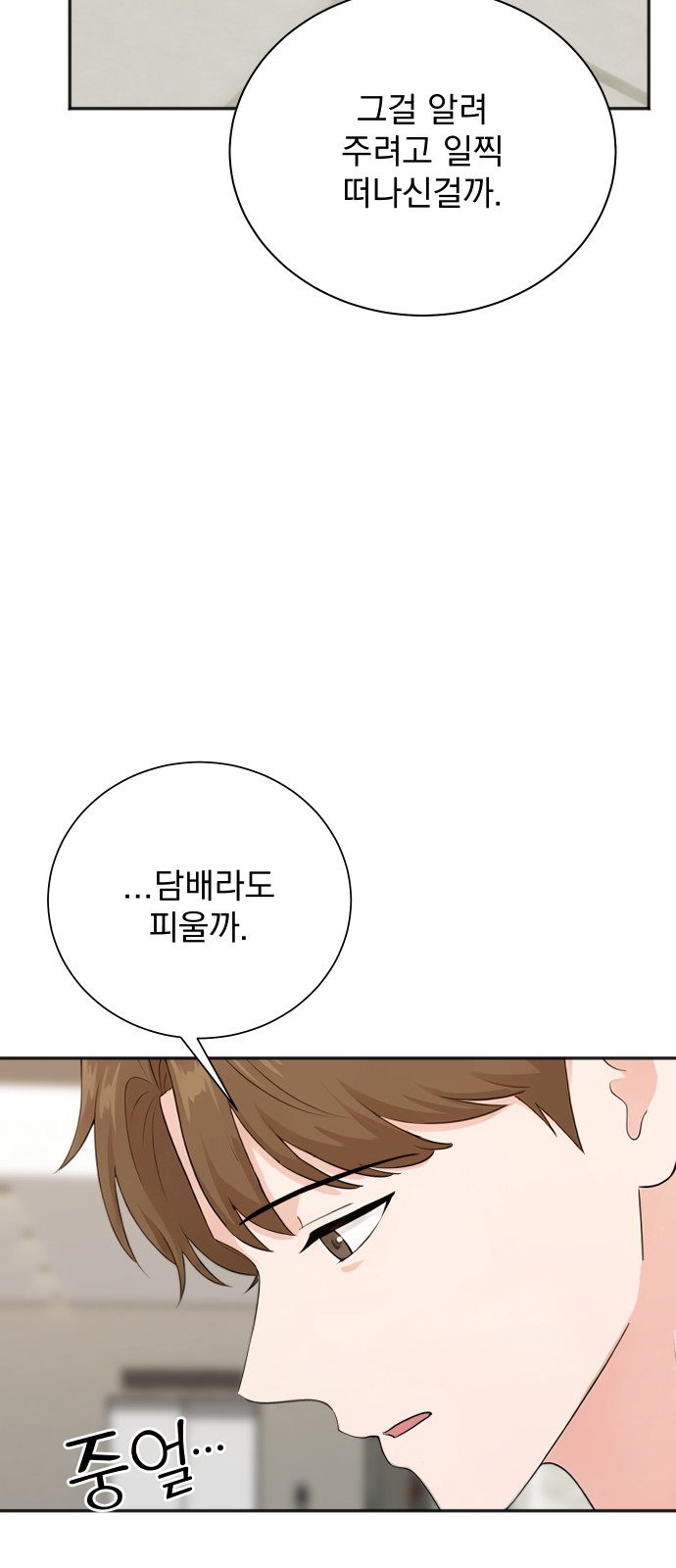 66 페이지