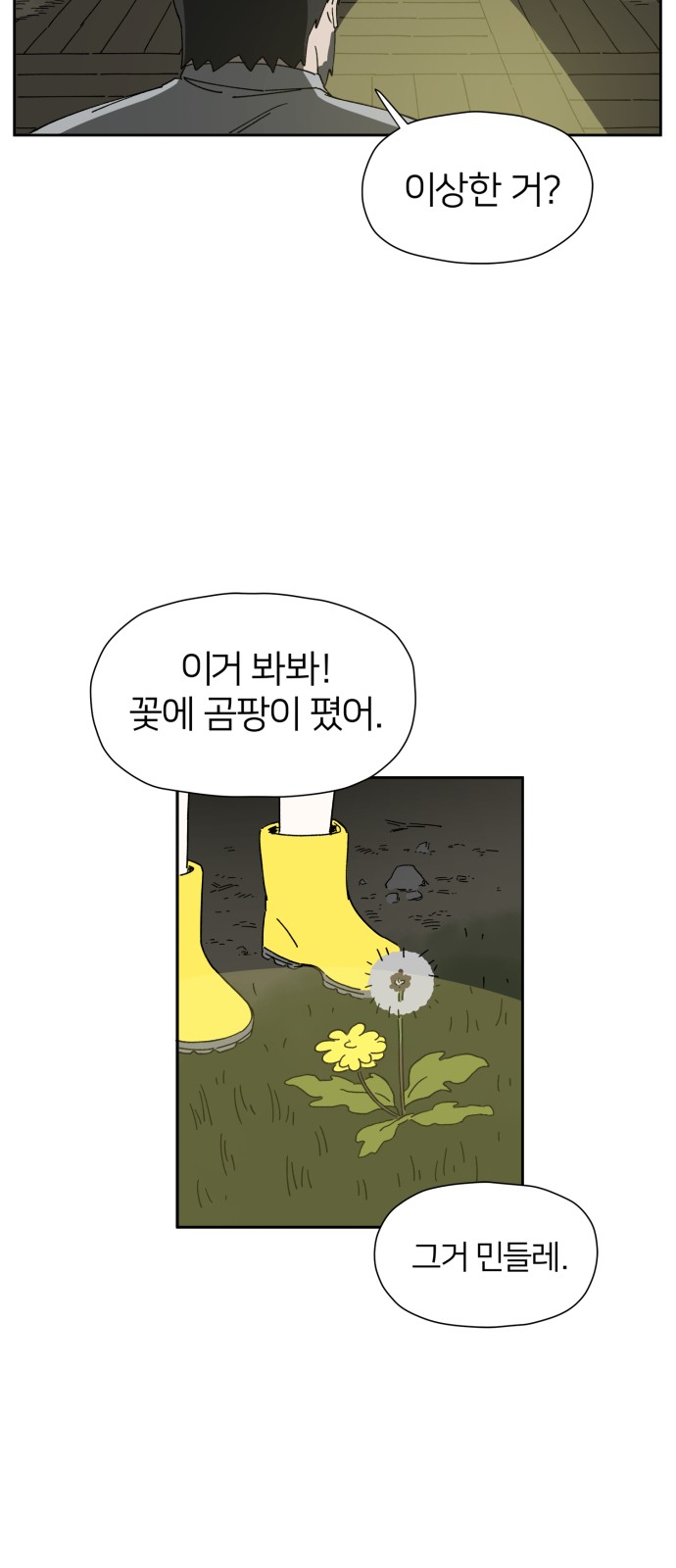 41 페이지