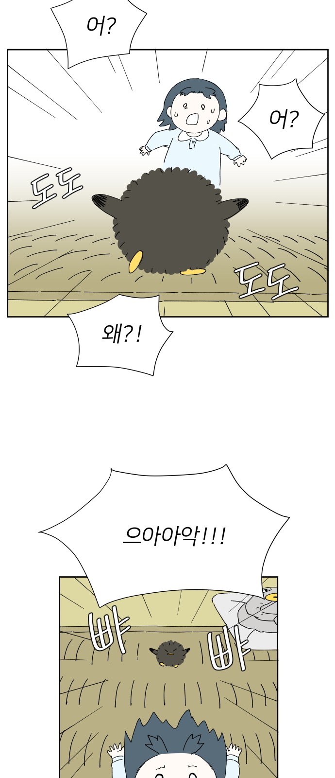 16 페이지
