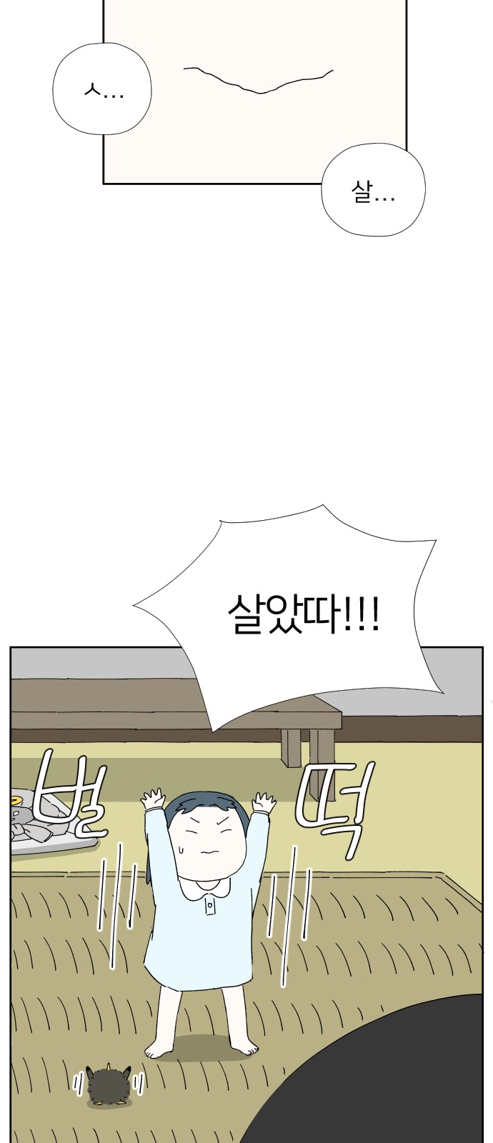 43 페이지