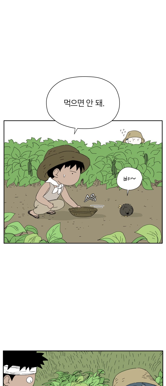 34 페이지