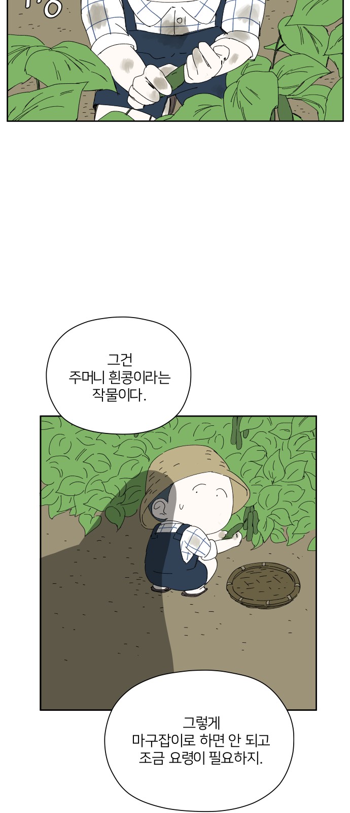 36 페이지