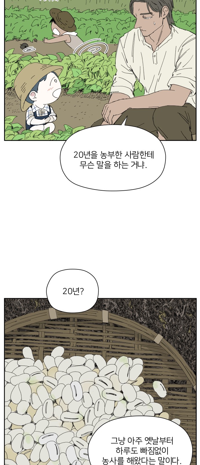 40 페이지