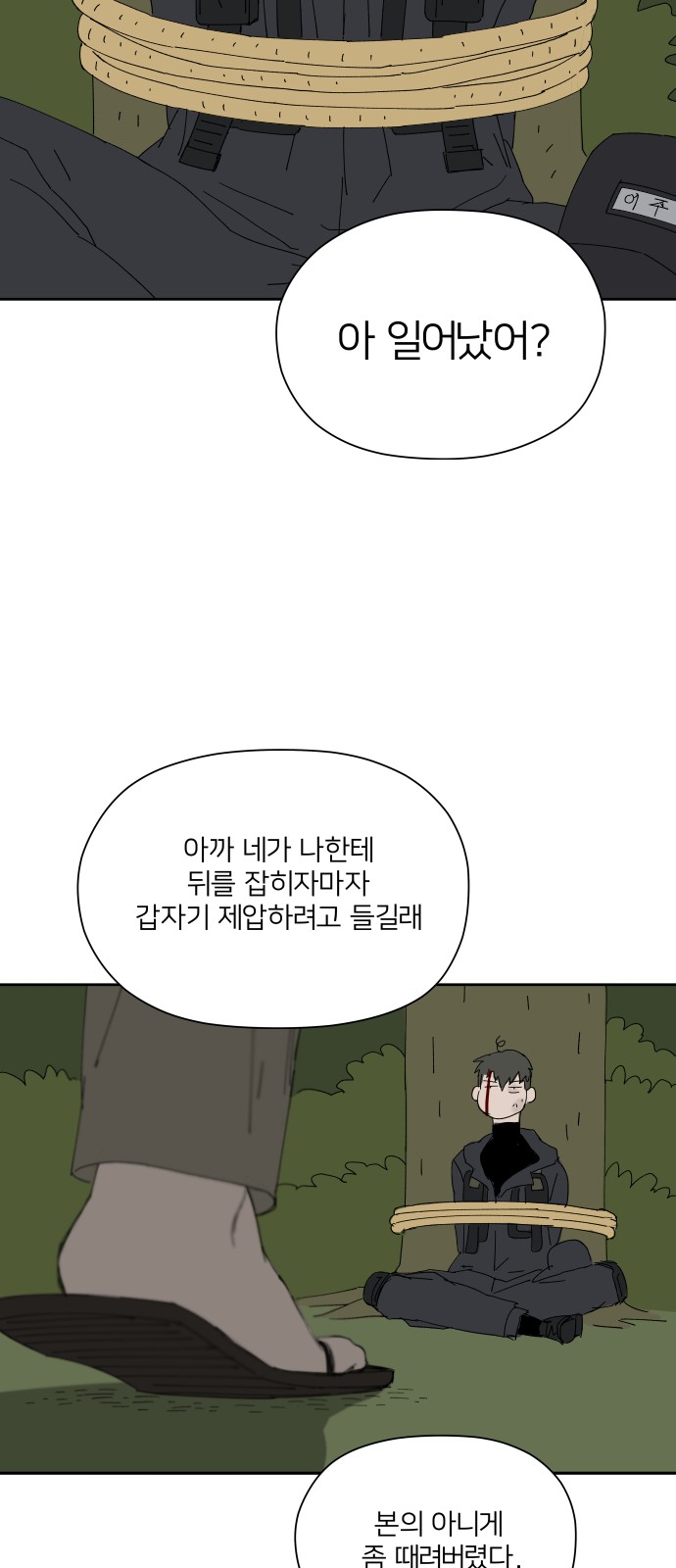 46 페이지