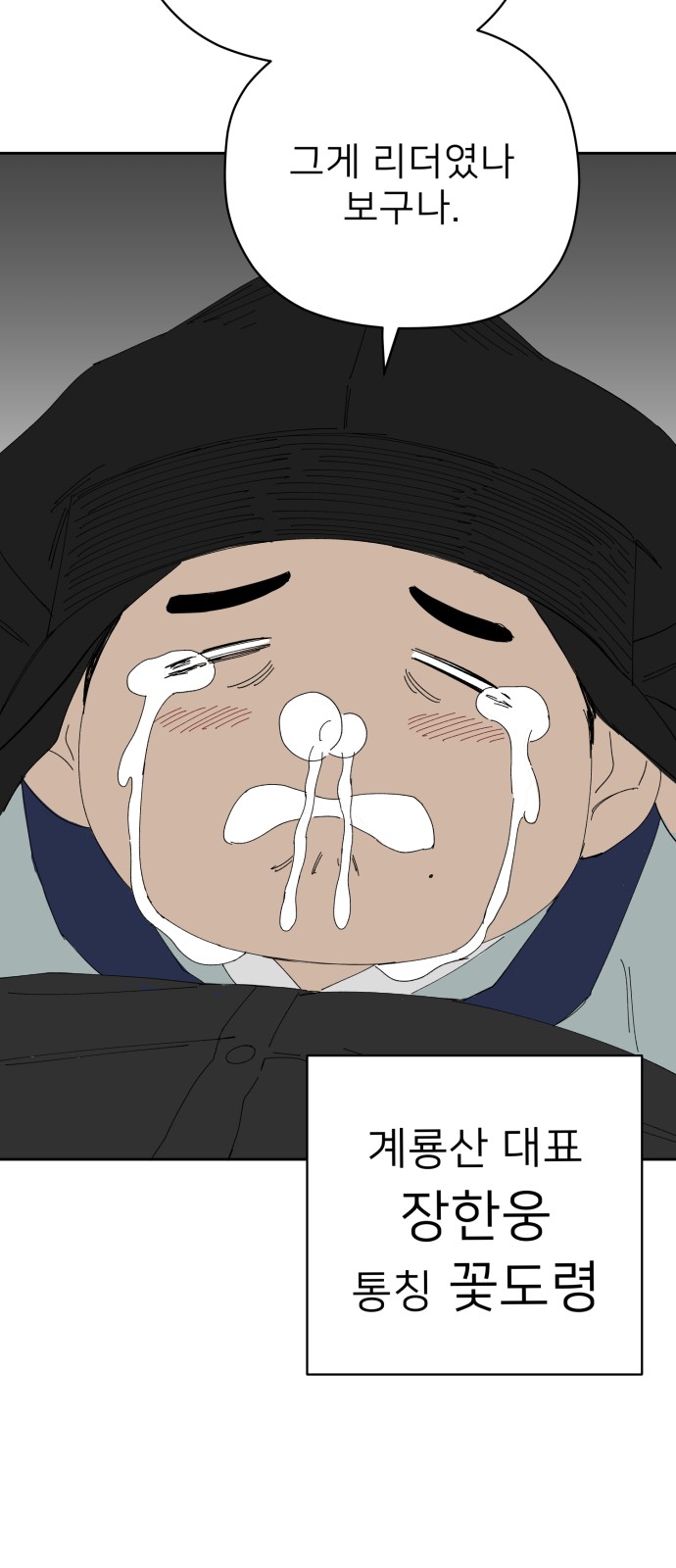 43 페이지
