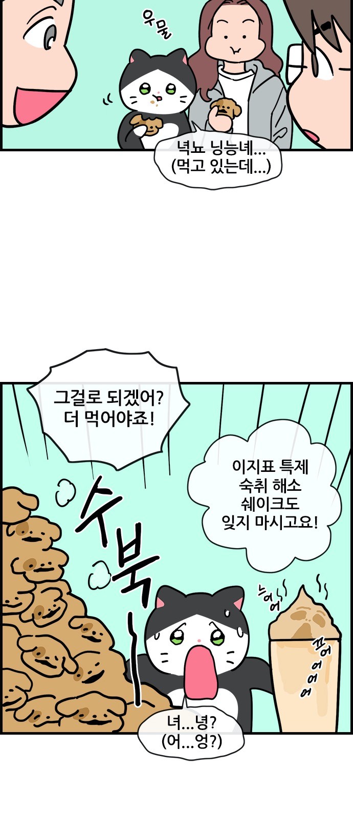 16 페이지
