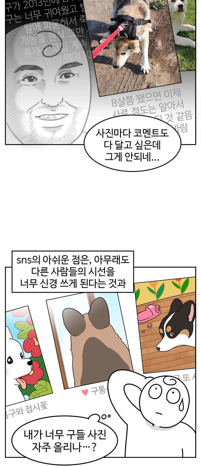 12 페이지