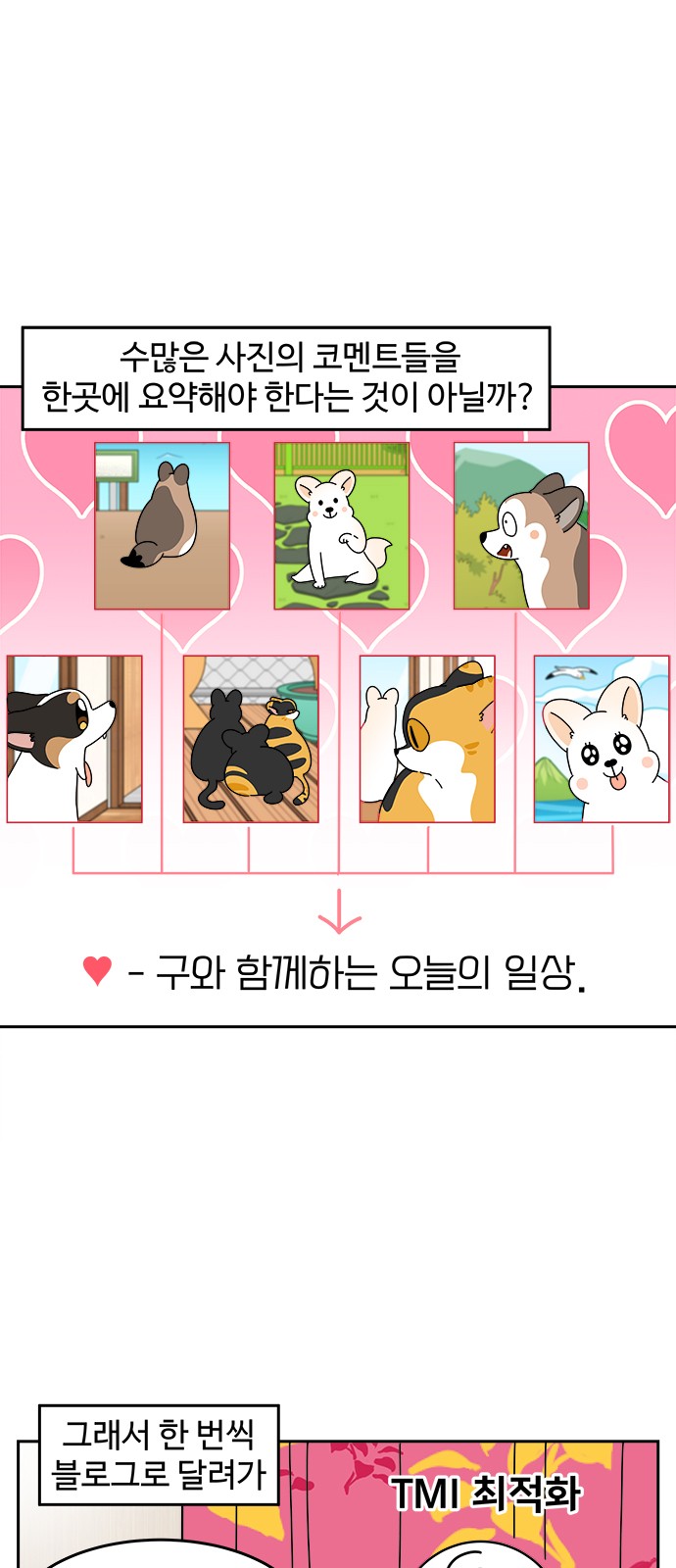 13 페이지