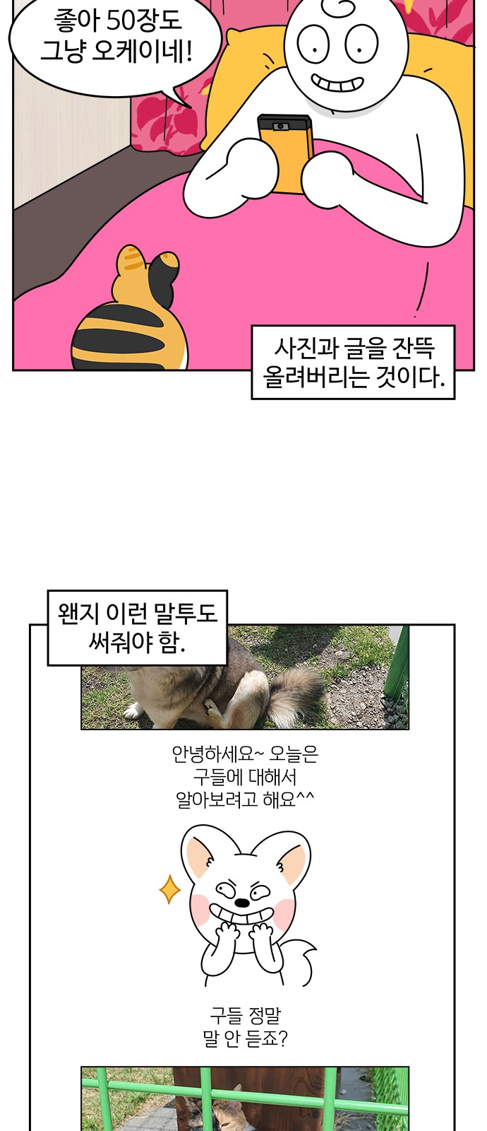 14 페이지