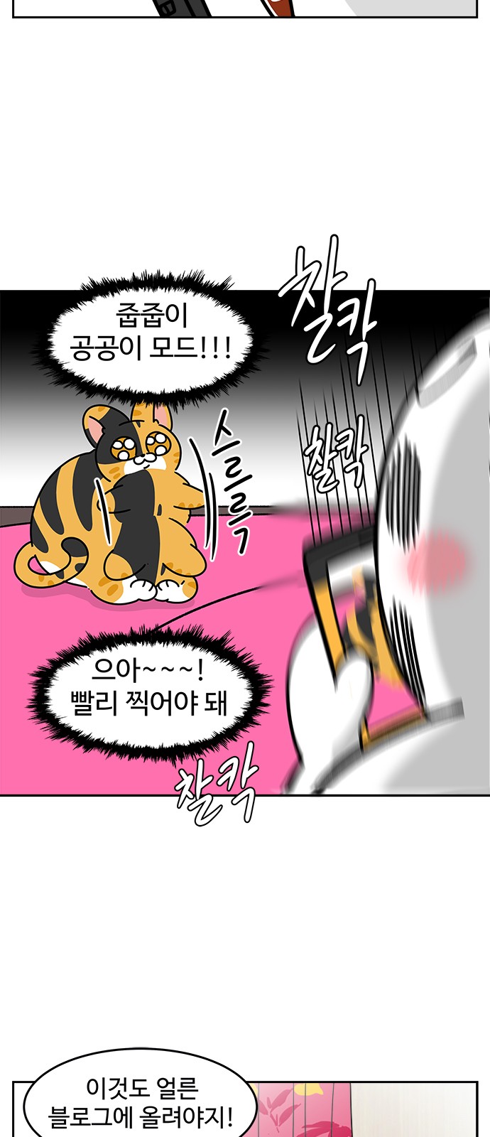 17 페이지